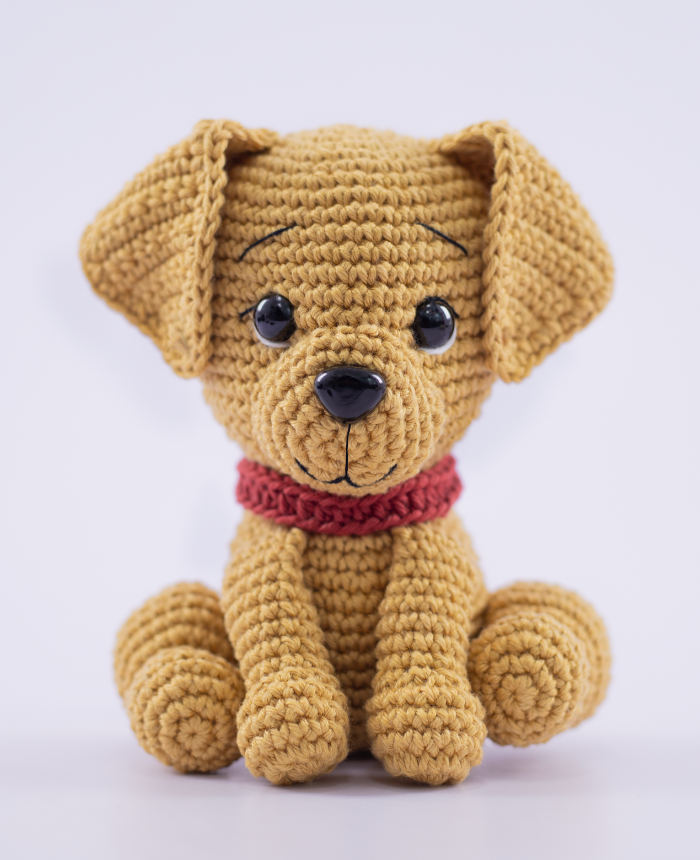 Perro Caramelo