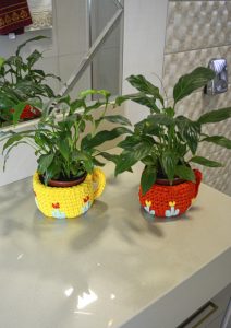 Cachepô de crochê para plantas