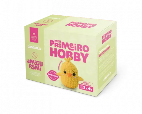 Kit Meu Primeiro Hobby Pintinho Fubá