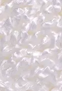 10 - BRANCO