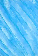 2194 - TURQUESA