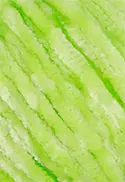 5203 - GREENERY