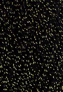 8990 - DOURADO