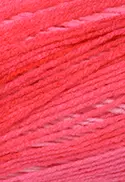 9503 - ROSA INCA