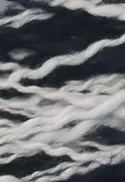 9016