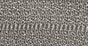 577