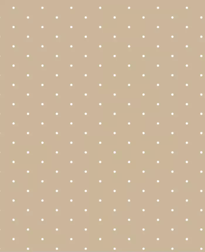 495808 color 2963