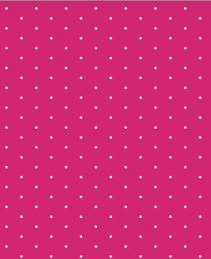 495808 color 2973