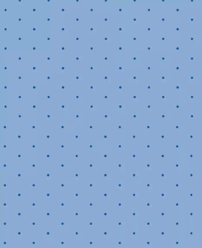 495808 color 2975