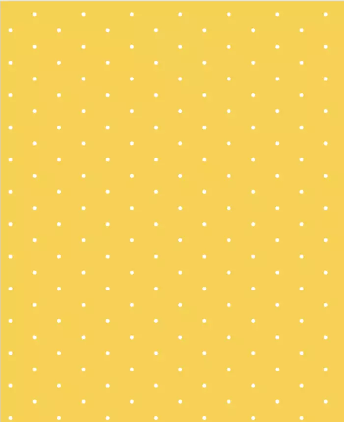 495808 color 2966