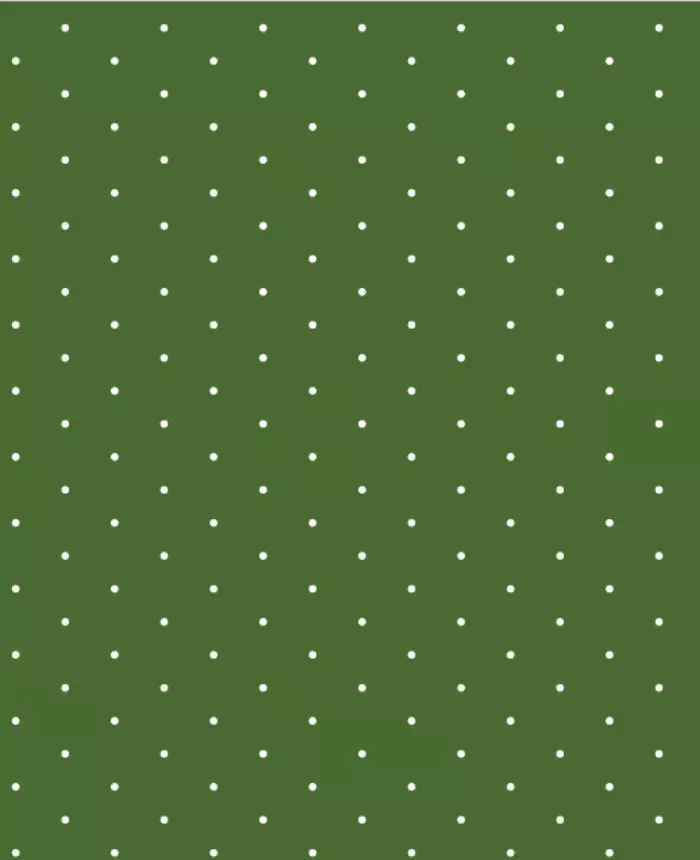 495808 color 2982