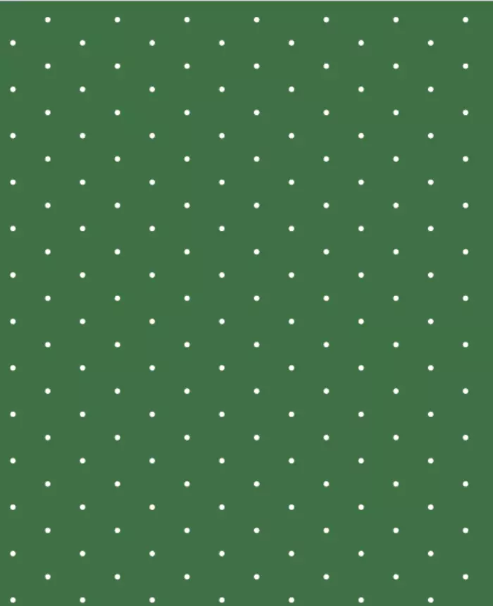495808 color 2981