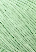 COR 5083 ECO