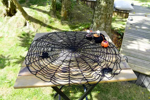 Toalha Teia de Aranha