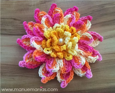 Flor Bromélia