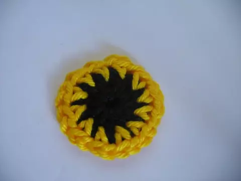 Bolsa de Coruja