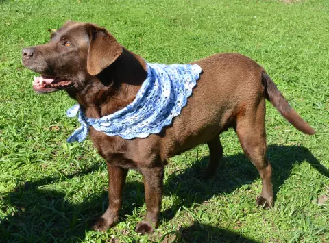 Bandana Pet Model Ursinho