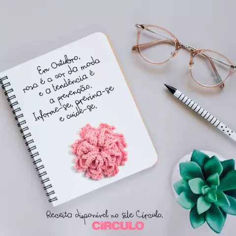 Flor Outubro Rosa