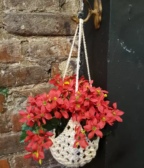 Plant Hanger Porcelana