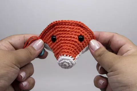 Raposinha