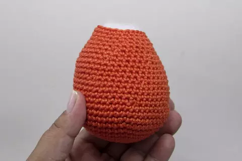 Raposinha