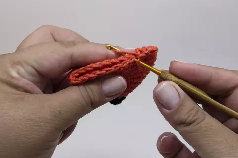 Raposinha