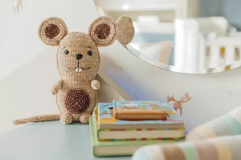 Ratinho Théo