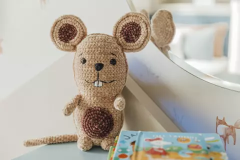 Ratinho Théo