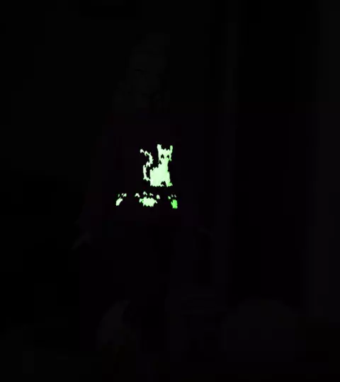 Suéter Gatinho Glow