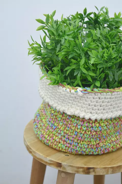 Cesto Multicolorido