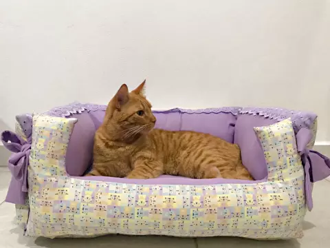 Cama Pet Miau
