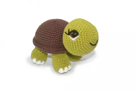 Tartaruga Terrestre