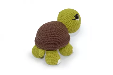 Tartaruga Terrestre