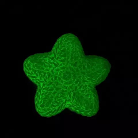 Estrela Glow
