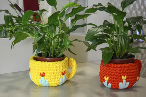 Conjunto de Xícaras Bordadas