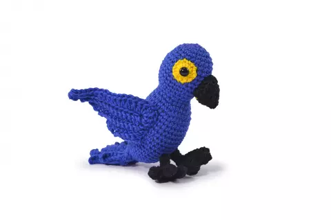 Arara-azul