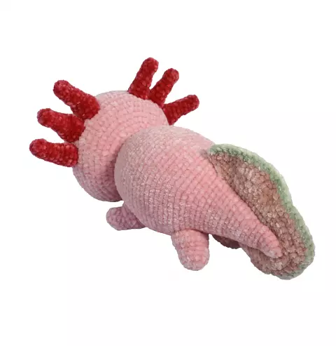 Salamandra