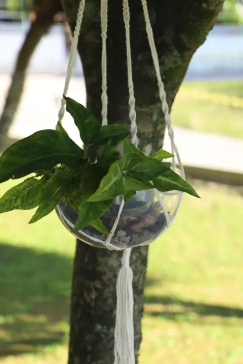 Suporte de Plantas Macramê 18 cm