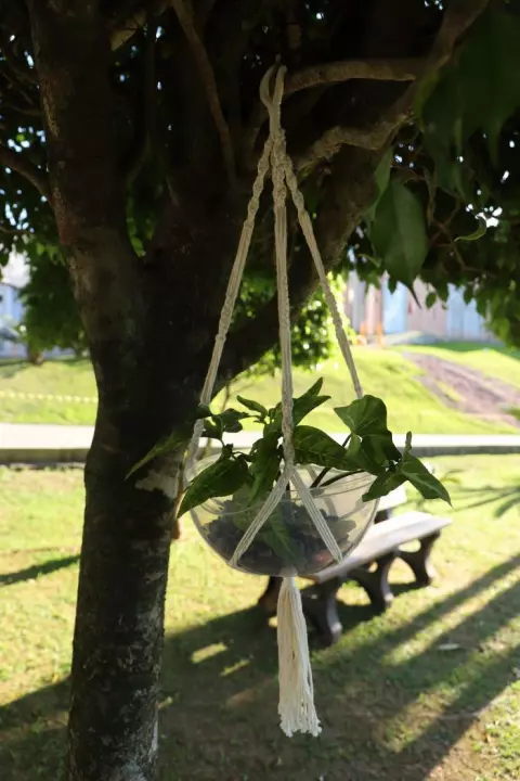 Suporte de Plantas Macramê 22cm