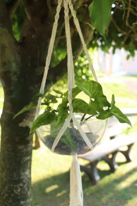 Suporte de Plantas Macramê 22cm