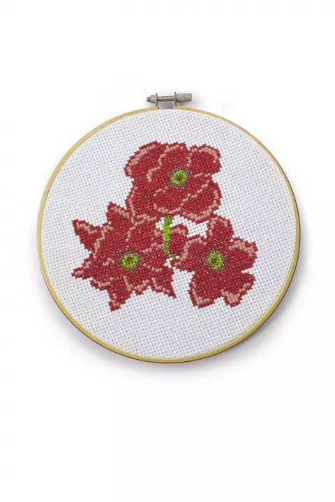 Bastidor Gerbera