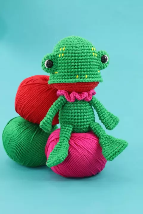 Sapo Color Block
