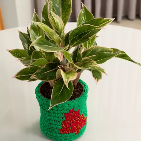 Cesta Pino Navideño