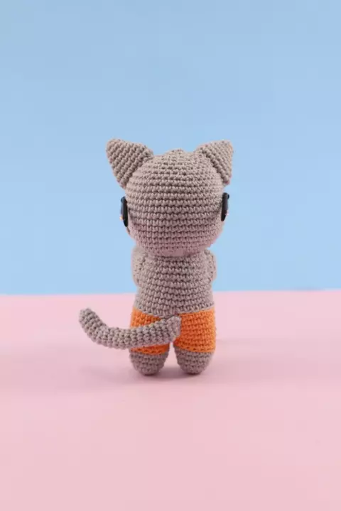 Jack the Cat