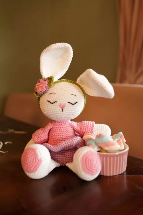 Olívia the Bunny