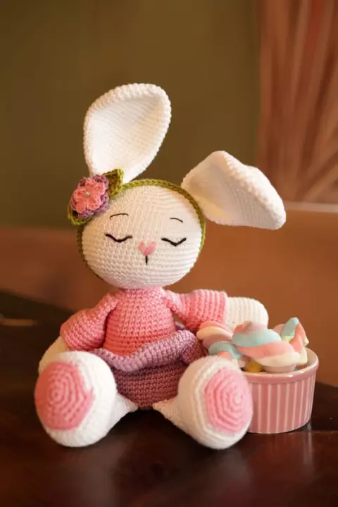 Olívia the Bunny