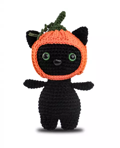 Gatinho Abóbora