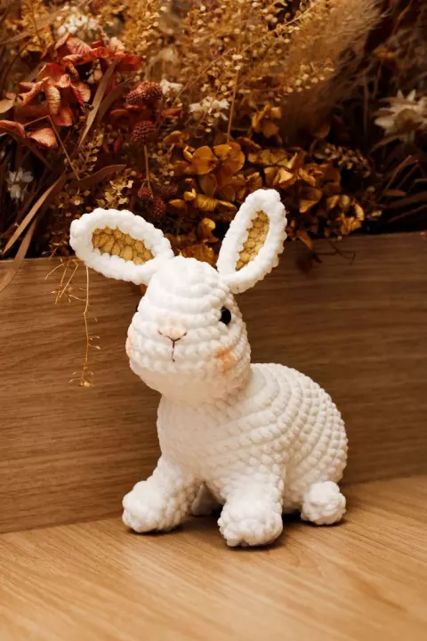 Conejo Branco