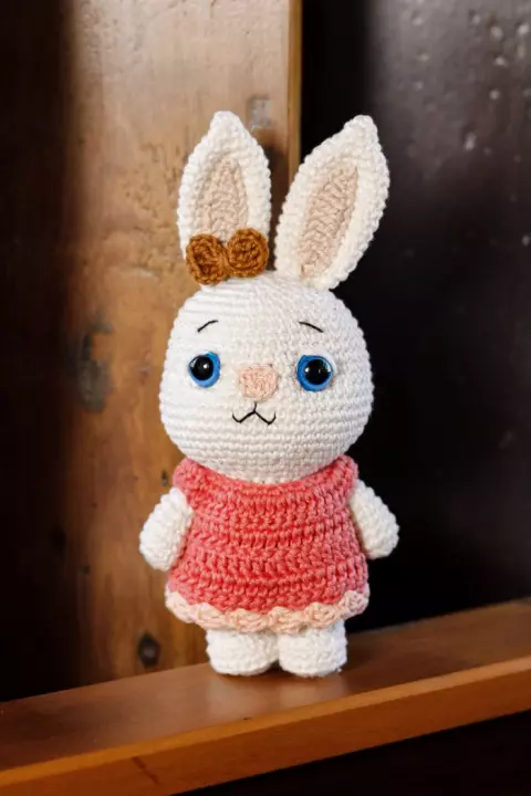 Anna Bunny