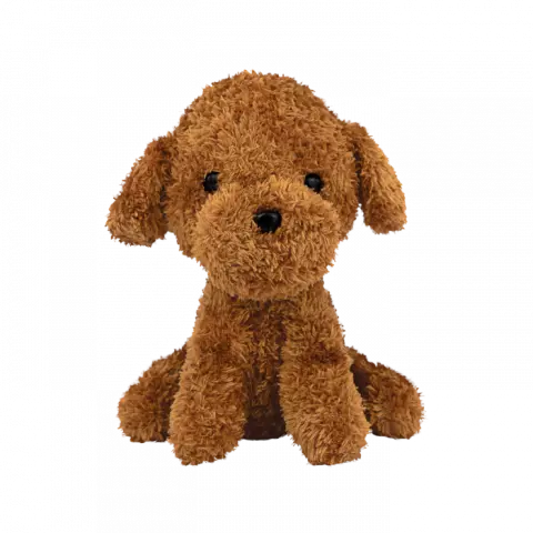 Cachorrinho Max